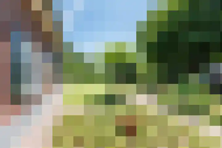 Smitskamplaan 16 Dinxperlo thumbnail 57