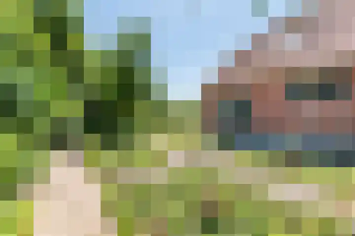 Smitskamplaan 16 Dinxperlo thumbnail 58
