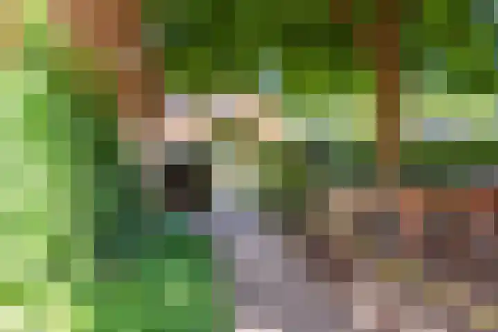 Smitskamplaan 16 Dinxperlo thumbnail 64