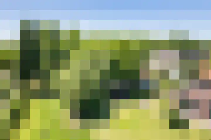 Smitskamplaan 16 Dinxperlo thumbnail 66