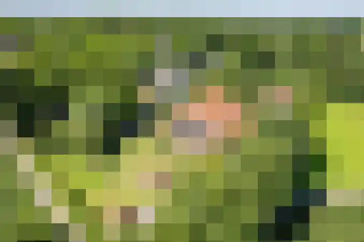 Smitskamplaan 16 Dinxperlo thumbnail 68