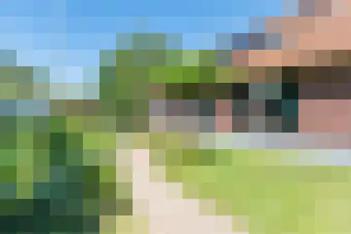 Smitskamplaan 16 Dinxperlo thumbnail 7