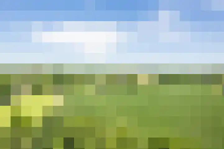 Smitskamplaan 16 Dinxperlo thumbnail 70