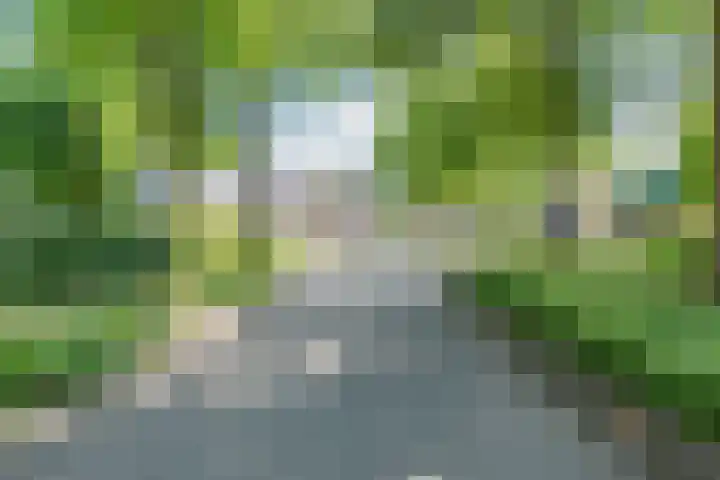 Smitskamplaan 16 Dinxperlo thumbnail 71