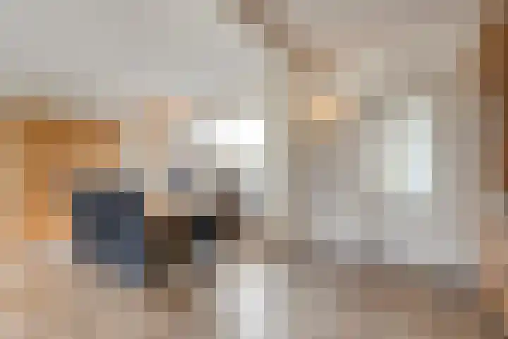 Smitstraat 16 Ommen thumbnail 10