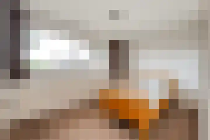 Smitstraat 16 Ommen thumbnail 19