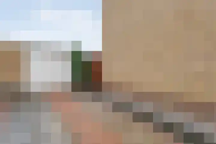 Smitstraat 16 Ommen thumbnail 34