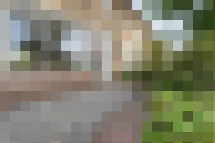 Smitstraat 16 Ommen thumbnail 6