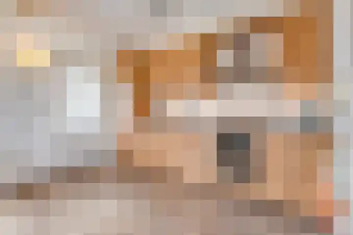 Smitstraat 16 Ommen thumbnail 9