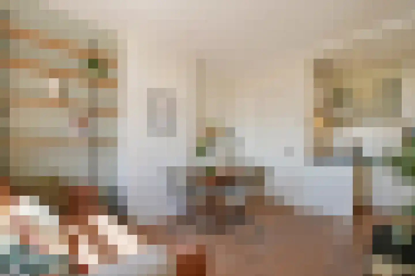 Smitstraat 28 3 Amsterdam thumbnail 20
