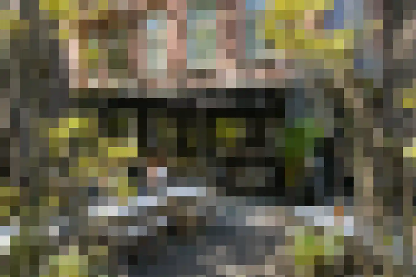 Smitstraat 28 3 Amsterdam thumbnail 32