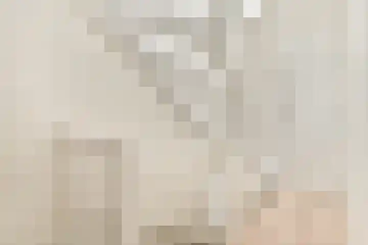 Smitstraat 30 4 Amsterdam thumbnail 15