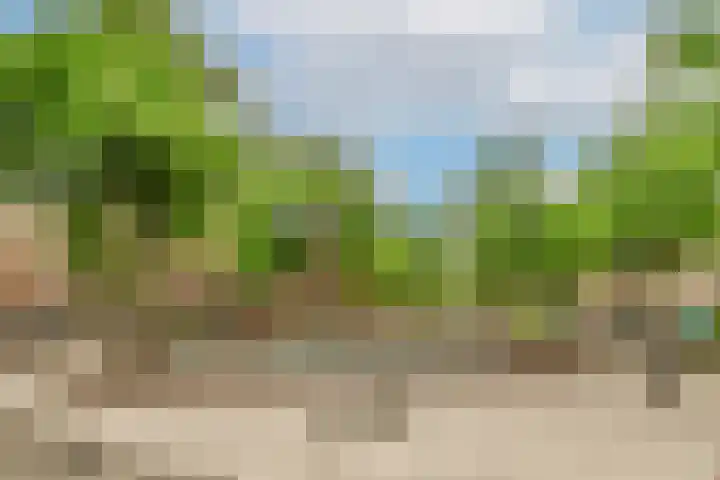 Smitstraat 30 4 Amsterdam thumbnail 21