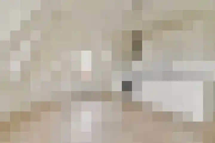 Smitstraat 30 4 Amsterdam thumbnail 4