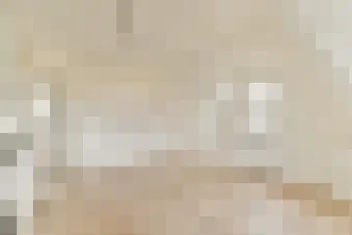 Smitstraat 30 4 Amsterdam thumbnail 6