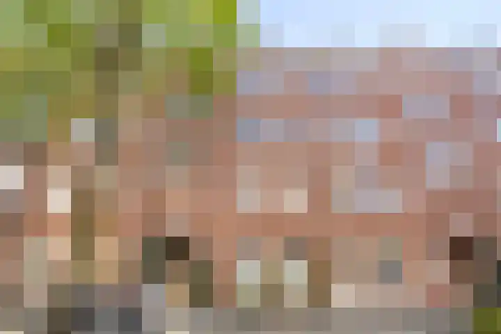 Smitstraat 31 H Amsterdam thumbnail 17