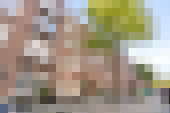 Smitstraat 31 H Amsterdam thumbnail 18