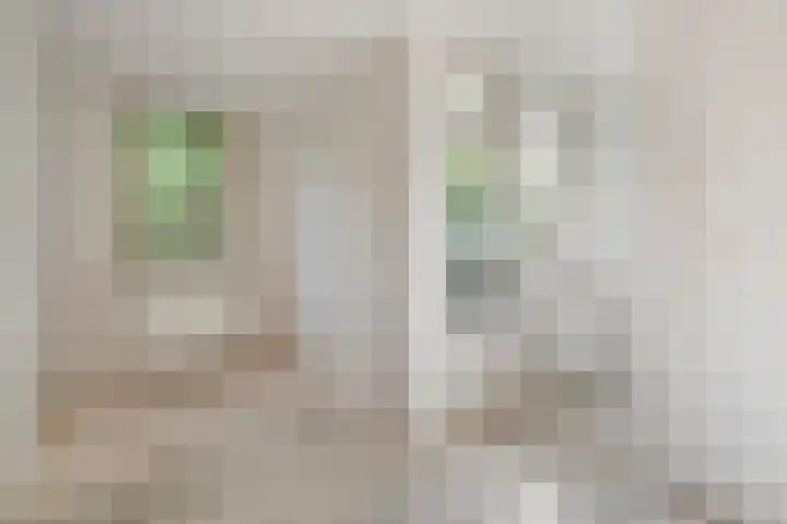 Smitstraat 35 2 Amsterdam thumbnail 12