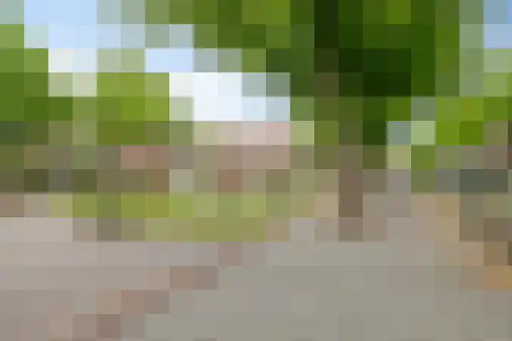 Smitstraat 35 2 Amsterdam thumbnail 20