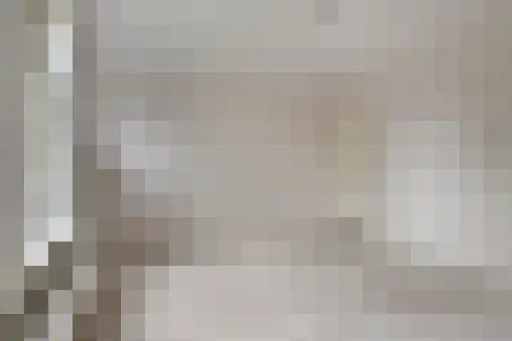 Smitstraat 35 2 Amsterdam thumbnail 5