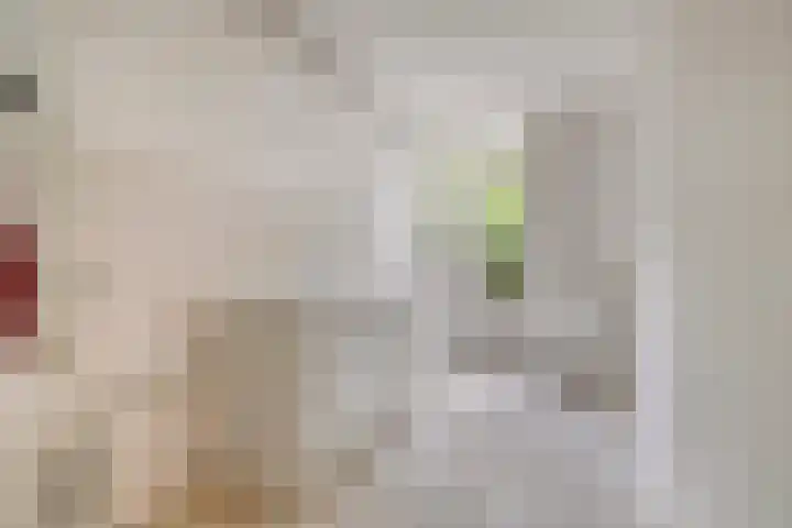 Smitstraat 35 2 Amsterdam thumbnail 8