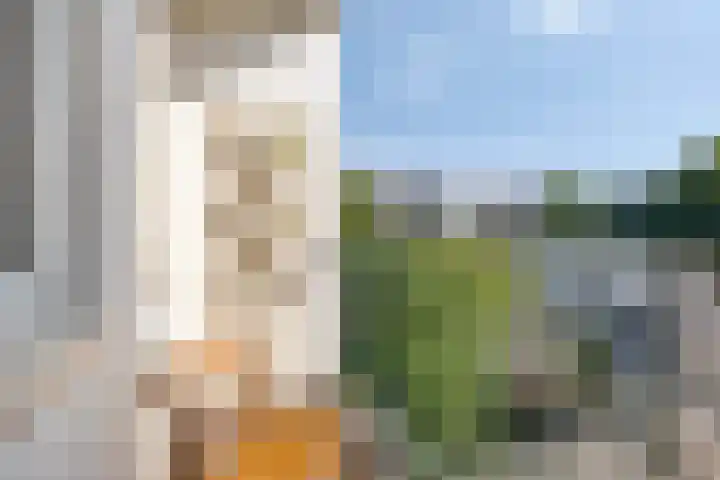 Smitstraat 43 2 Amsterdam thumbnail 19