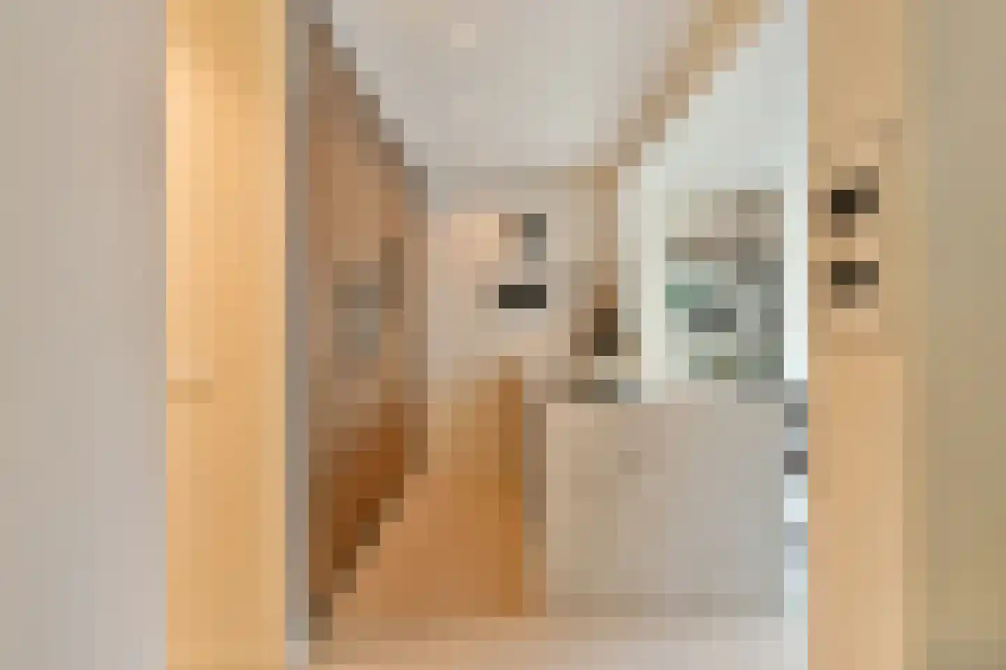 Smitstraat 47 H Amsterdam thumbnail 12