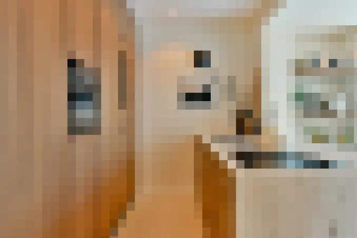 Smitstraat 47 H Amsterdam thumbnail 13