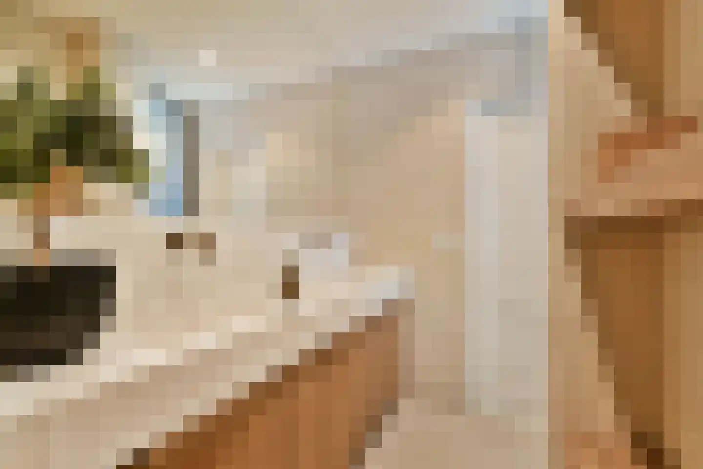 Smitstraat 47 H Amsterdam thumbnail 23