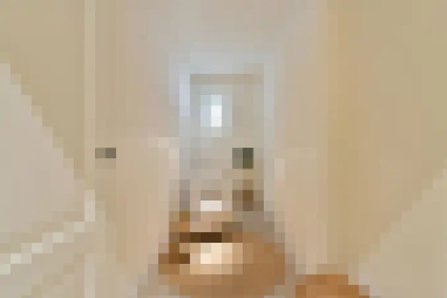 Smitstraat 47 H Amsterdam thumbnail 27