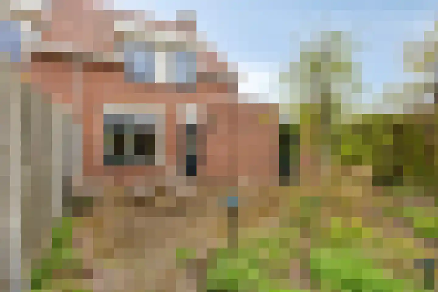 Smitsweg 1 Driewegen thumbnail 10