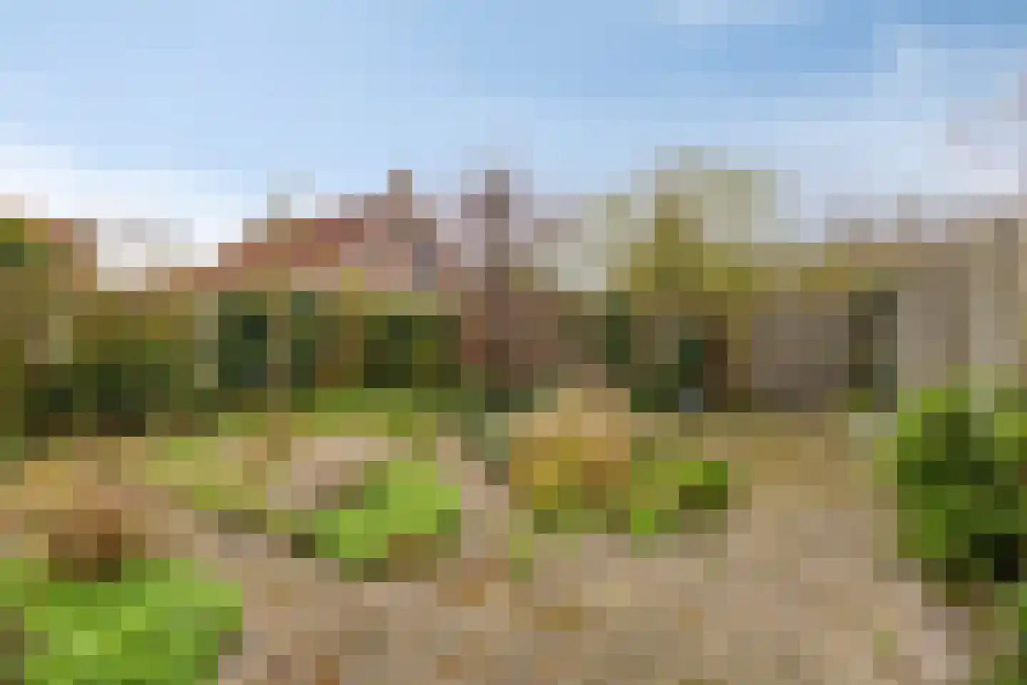 Smitsweg 1 Driewegen thumbnail 11