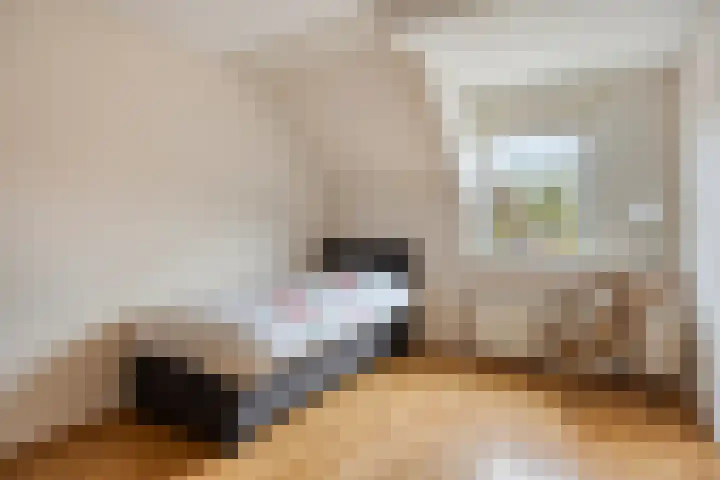Smitsweg 1 Driewegen thumbnail 14