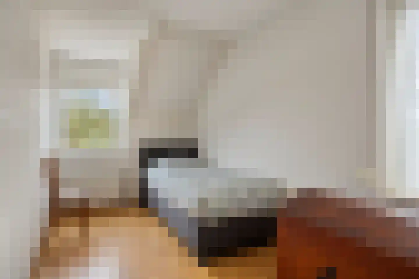 Smitsweg 1 Driewegen thumbnail 18