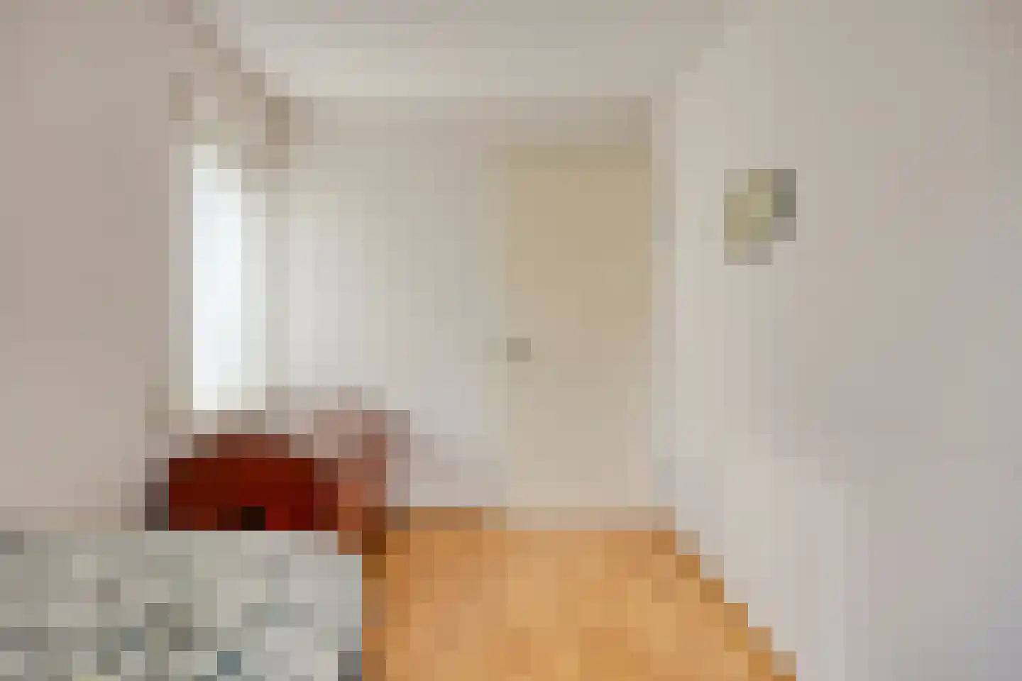 Smitsweg 1 Driewegen thumbnail 19
