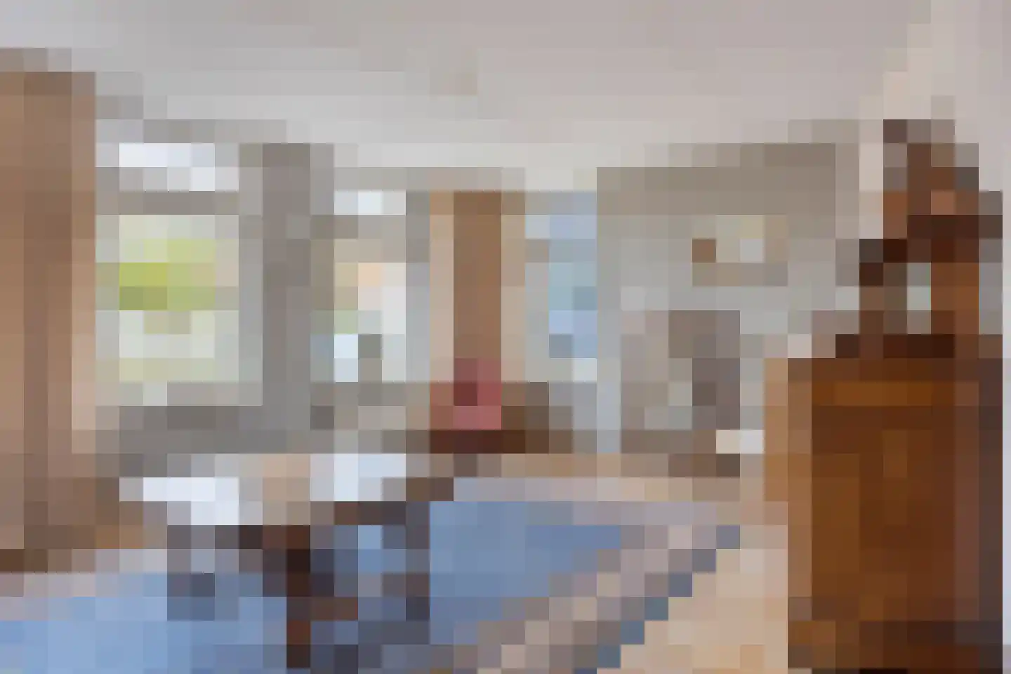 Smitsweg 1 Driewegen foto 2