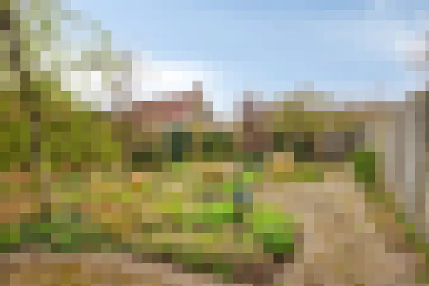 Smitsweg 1 Driewegen thumbnail 26