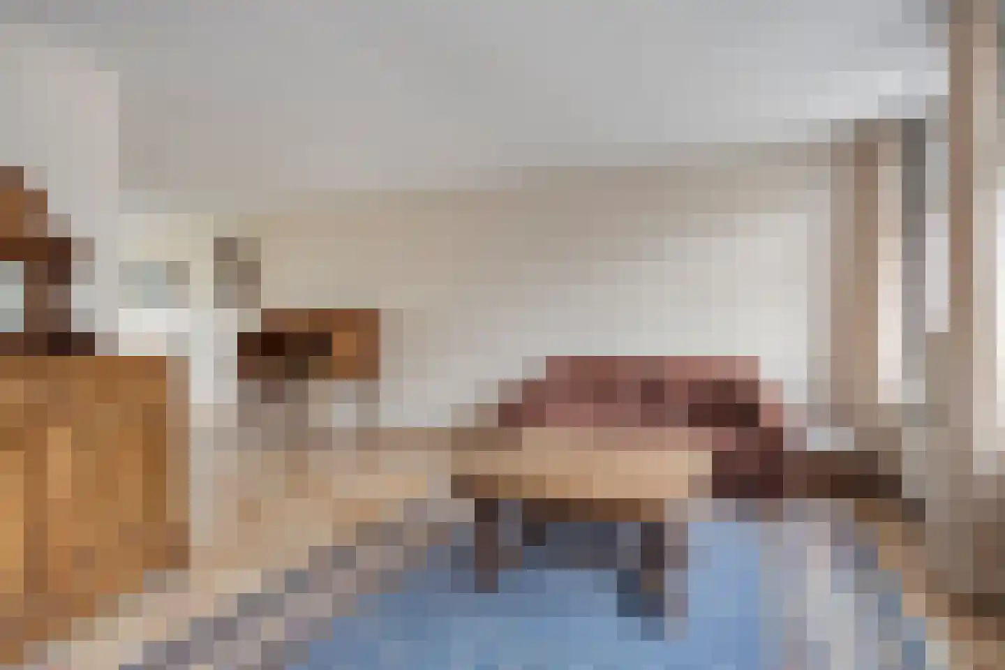 Smitsweg 1 Driewegen foto 3