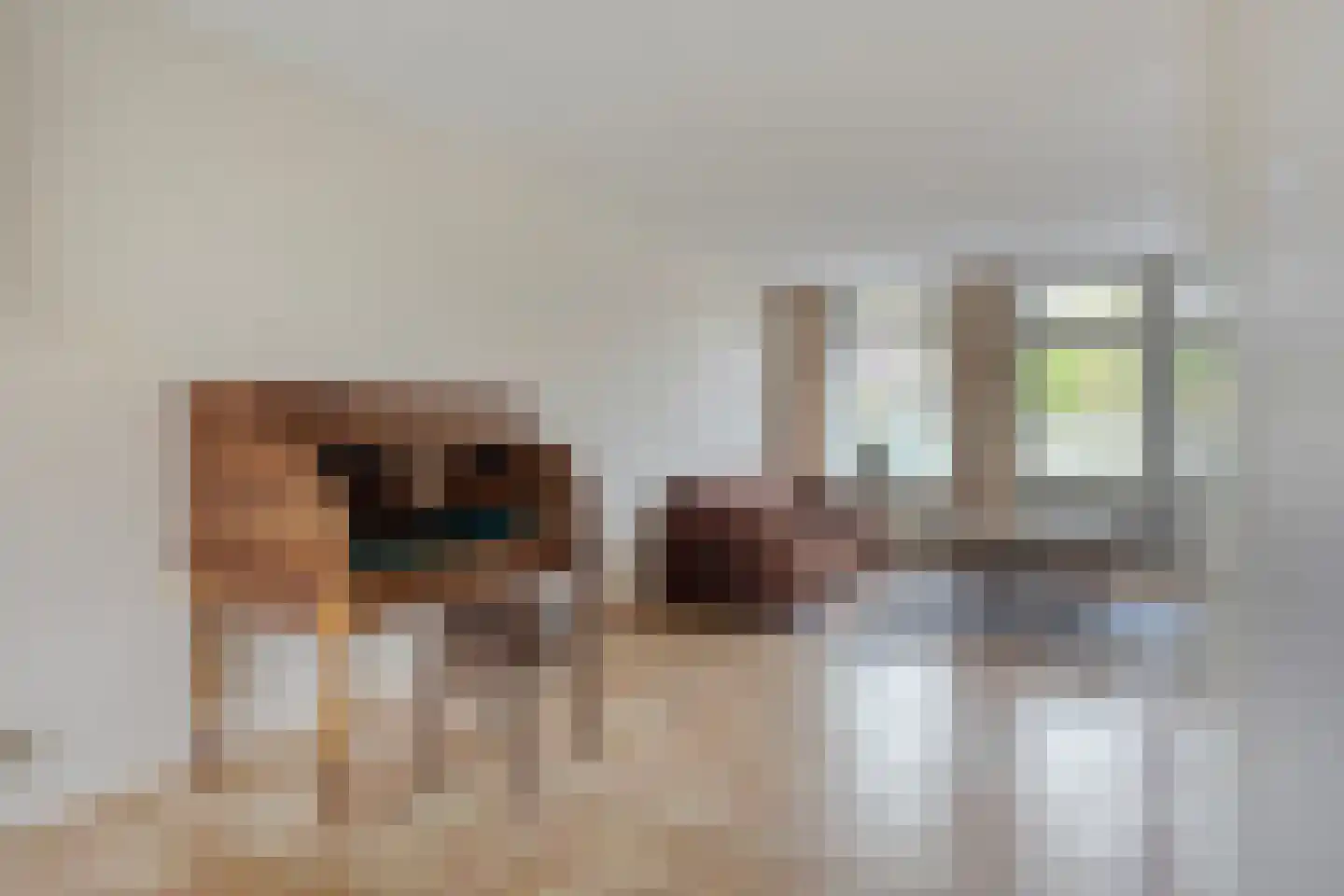 Smitsweg 1 Driewegen thumbnail 5