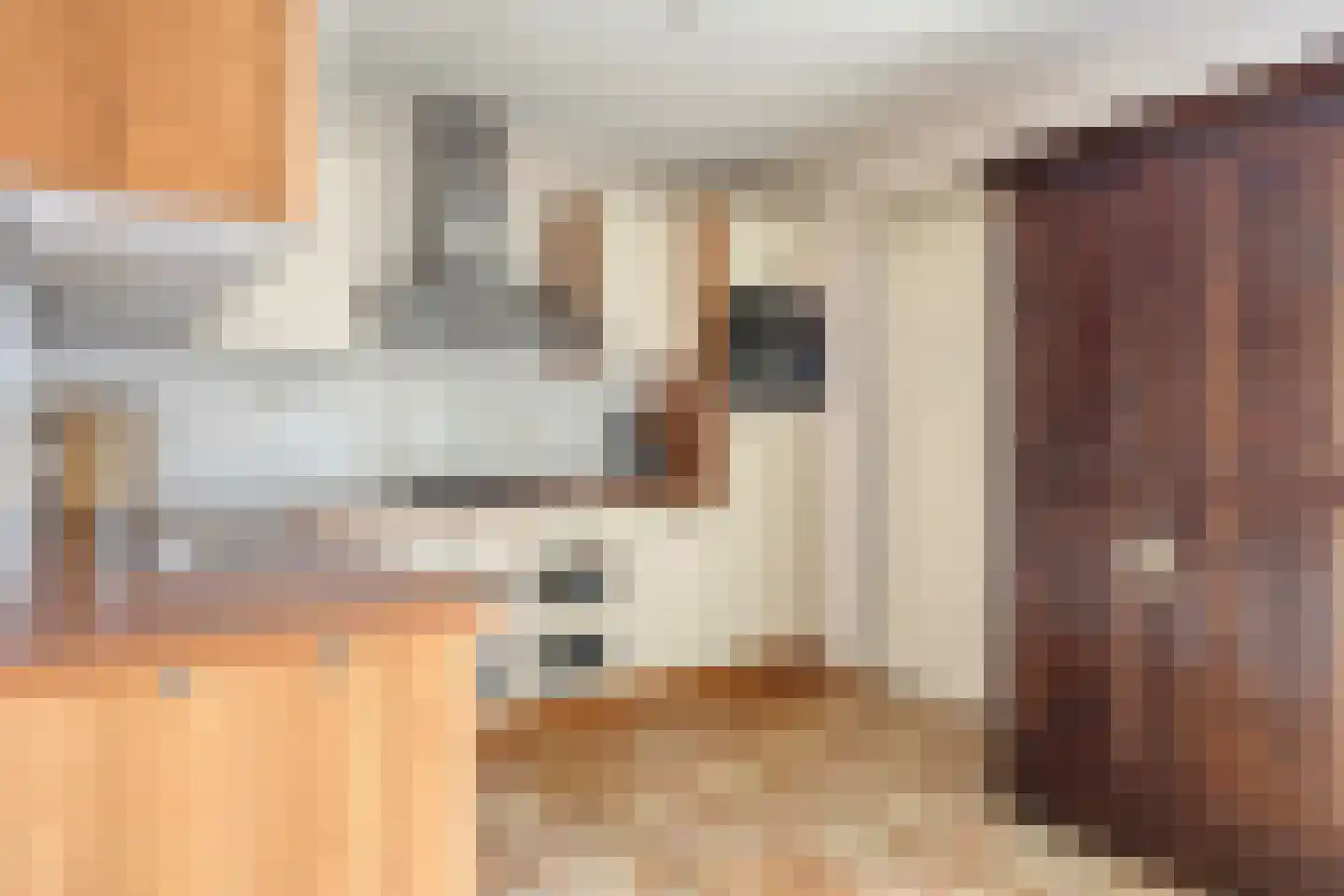 Smitsweg 1 Driewegen thumbnail 6