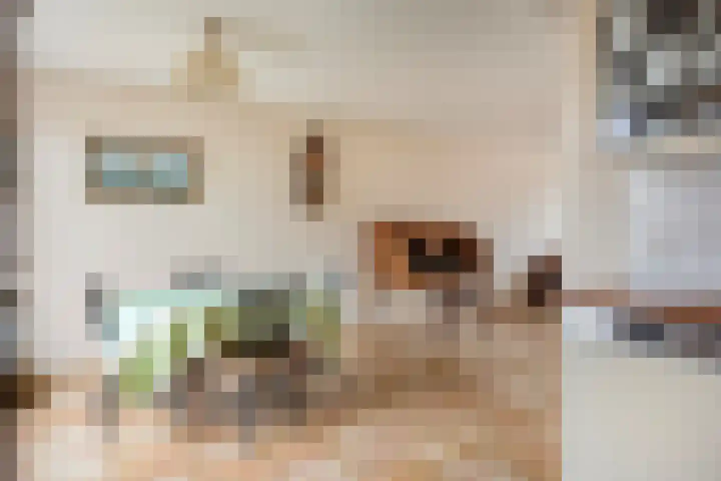Smitsweg 1 Driewegen thumbnail 7