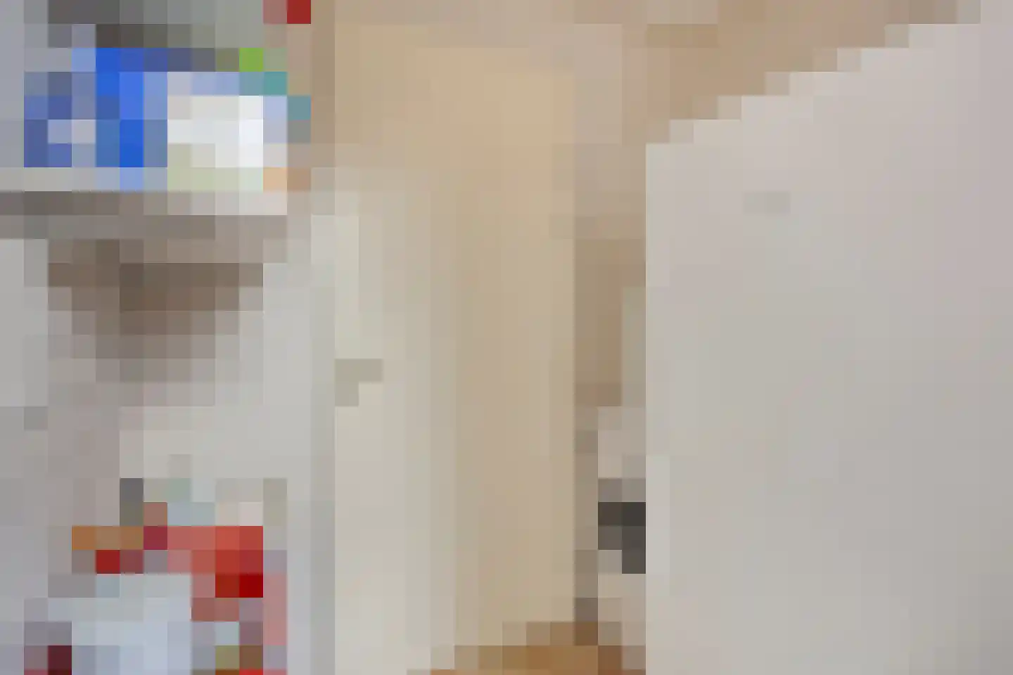 Smitsweg 1 Driewegen thumbnail 8