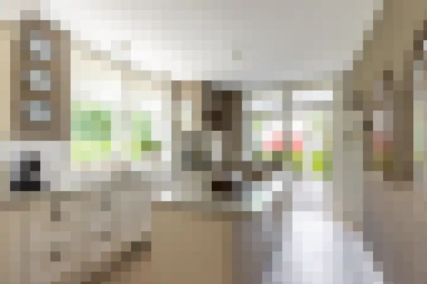 Smitsweg 1 Hellevoetsluis thumbnail 22