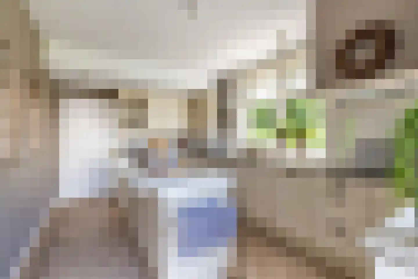 Smitsweg 1 Hellevoetsluis thumbnail 25