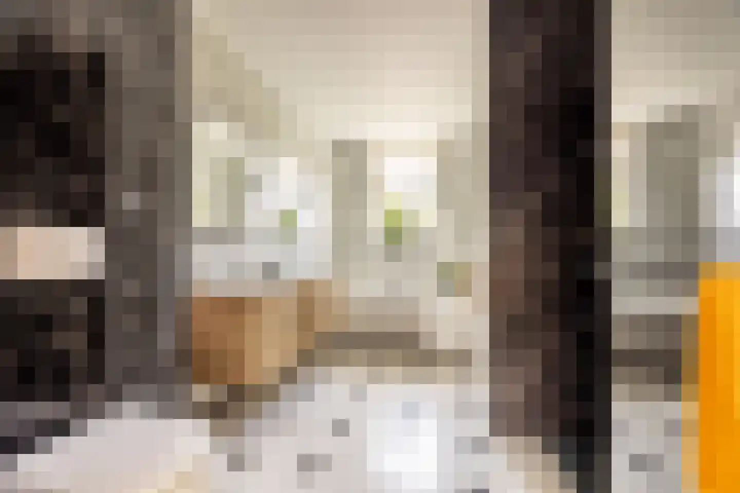 Smitsweg 1 Hellevoetsluis thumbnail 38