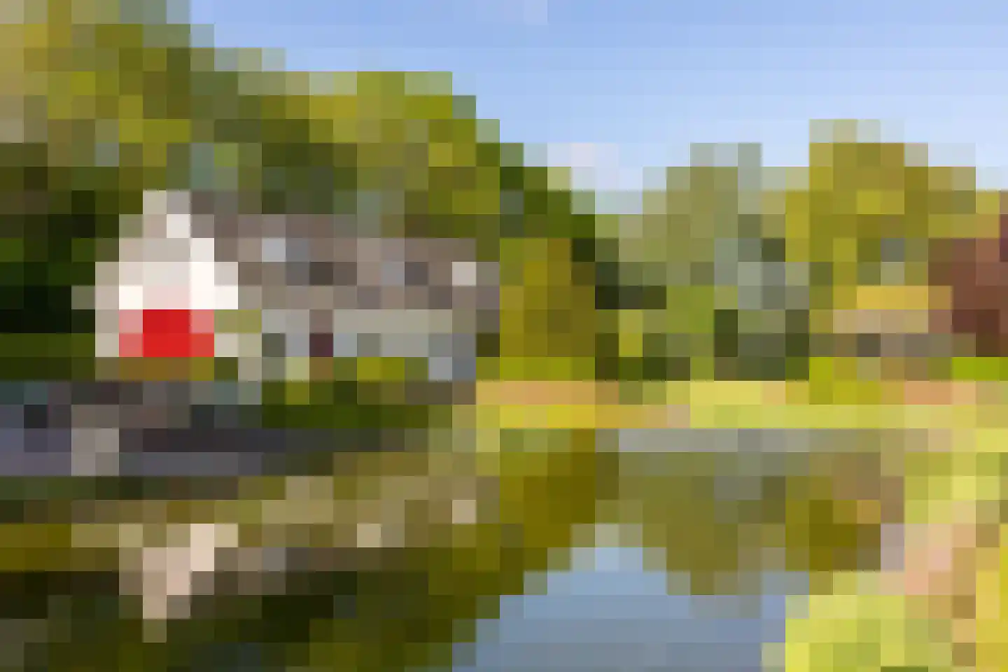Smitsweg 1 Hellevoetsluis thumbnail 4