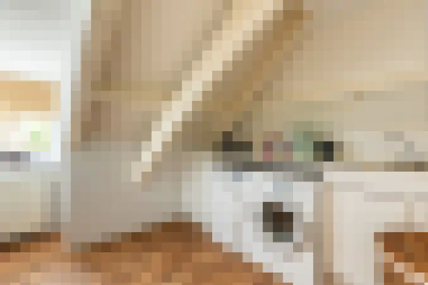 Smitsweg 1 Hellevoetsluis thumbnail 44