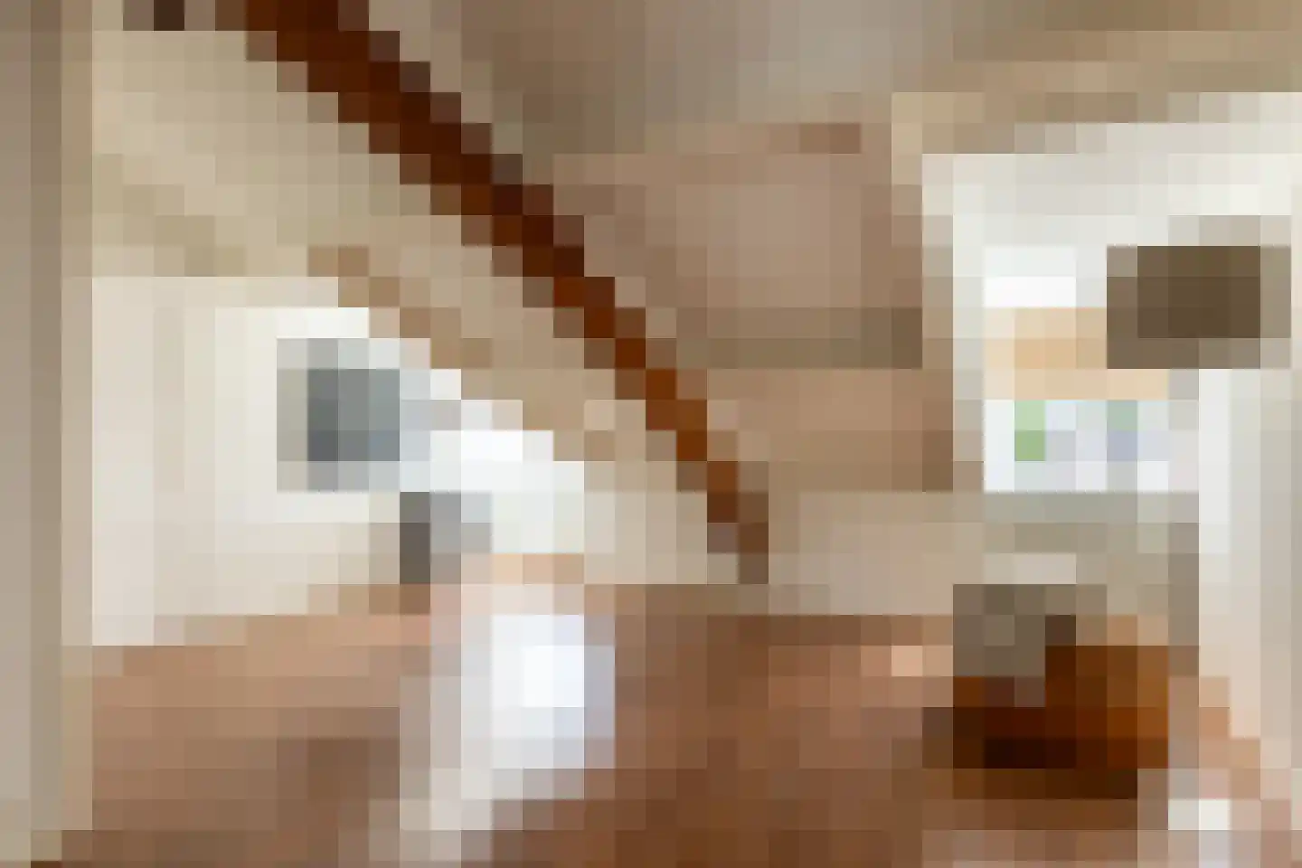 Smitsweg 1 Hellevoetsluis thumbnail 46
