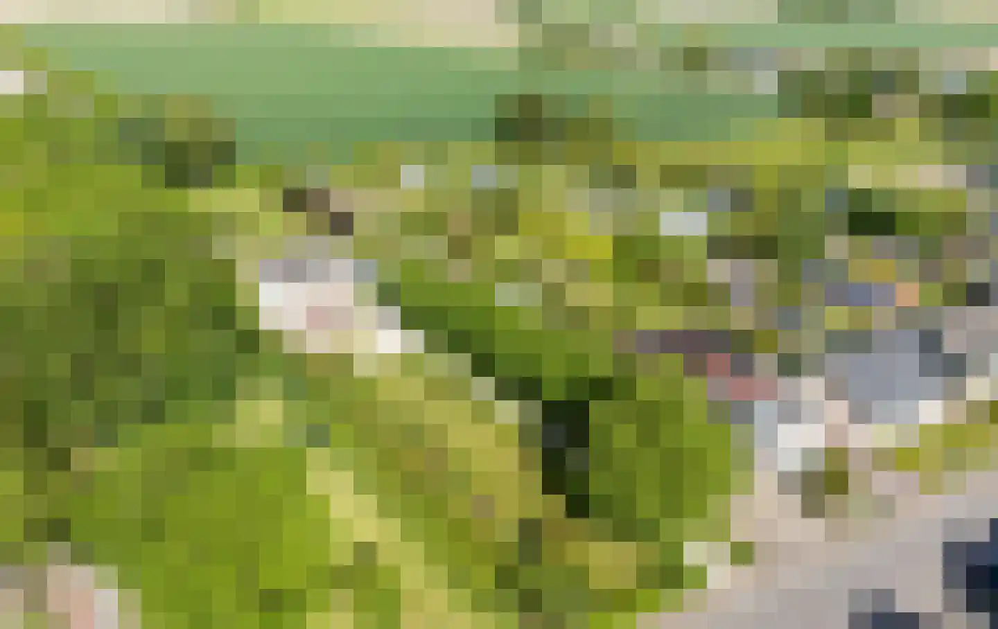 Smitsweg 1 Hellevoetsluis thumbnail 5