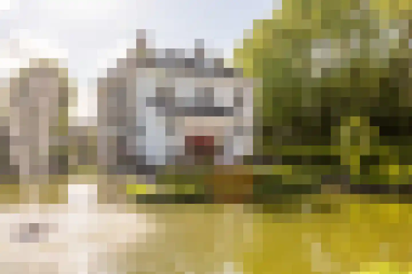 Smitsweg 1 Hellevoetsluis thumbnail 53
